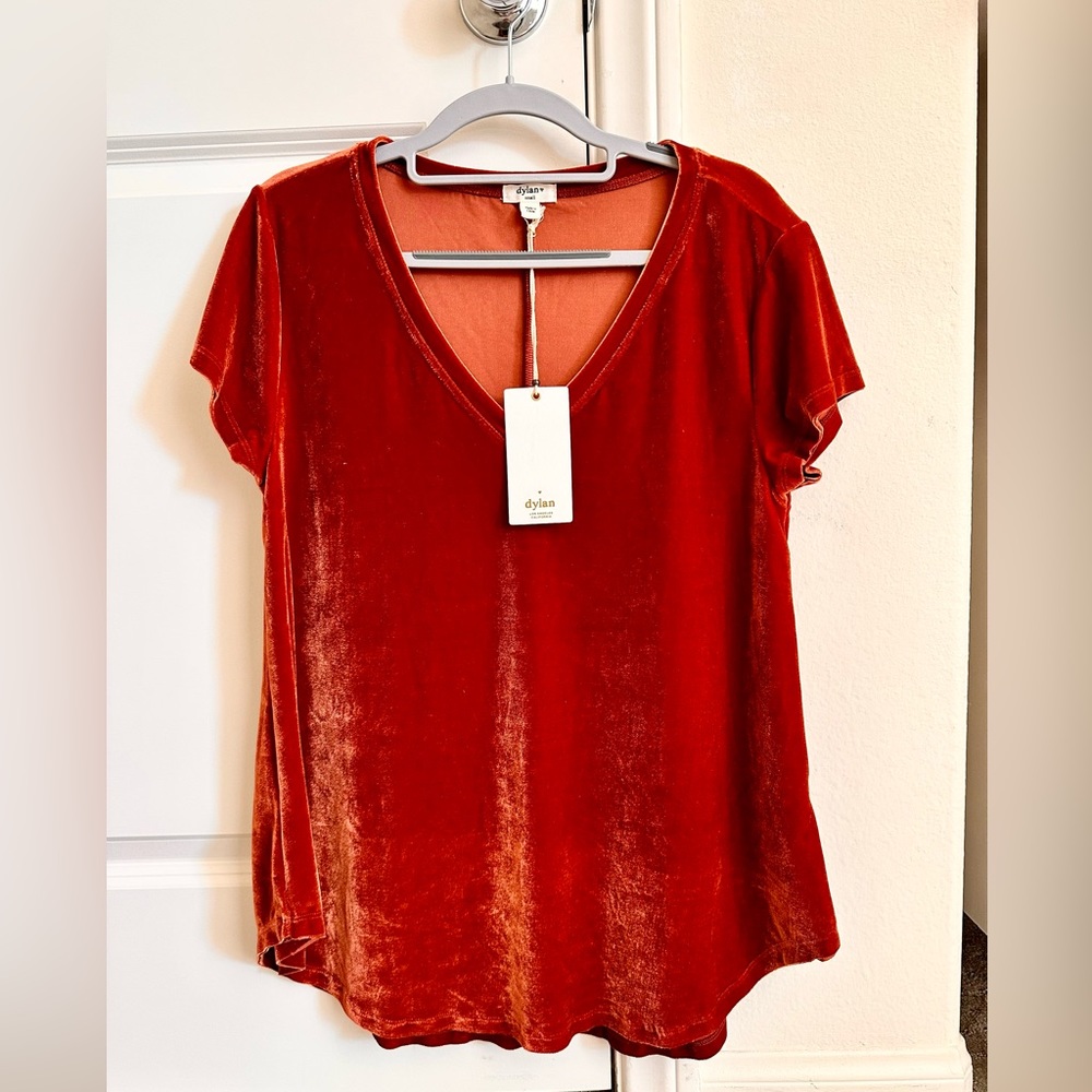 Dylan Small Rust VIntage Velvet Babydoll Casual Occasion Pullover Soft Top NWT